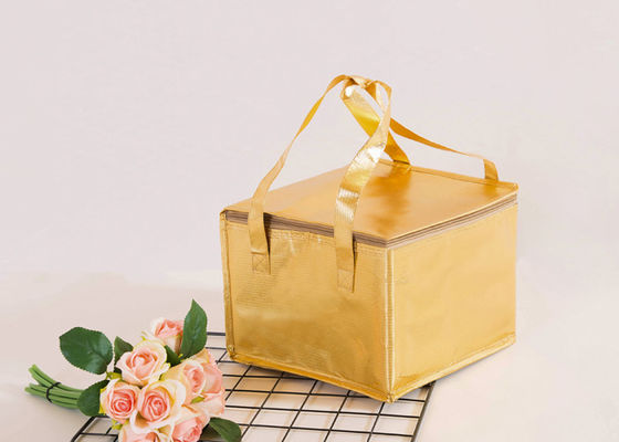 Aangepaste Embleem Thermische Koelere Zak, Geïsoleerde Lunchzak met Containers niet Geweven Materiaal